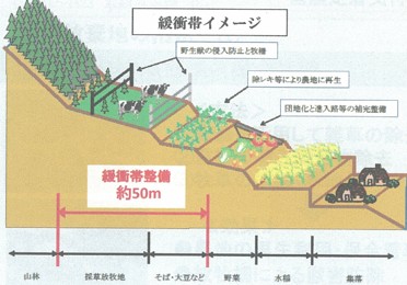 図：耕作放棄地整備計画イメージ